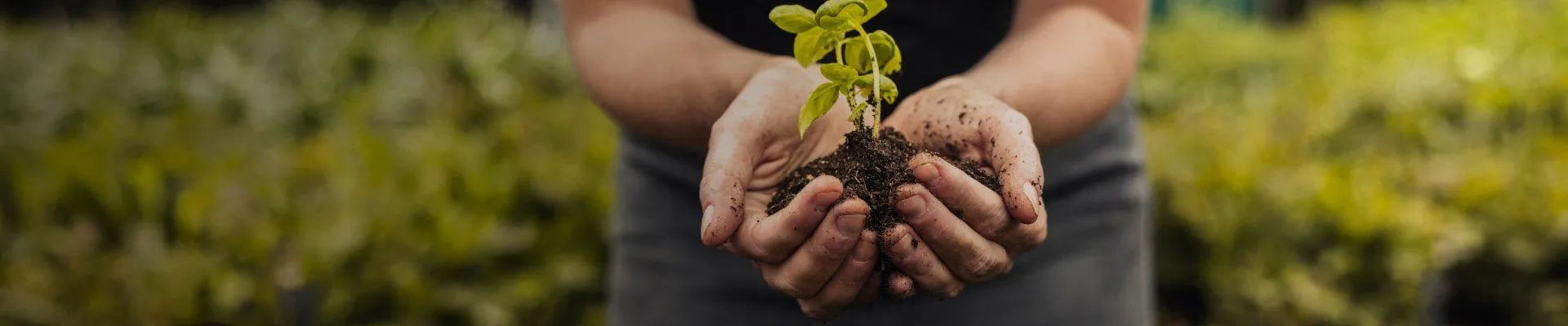 ¡CULTIVA EL FUTURO HOY!