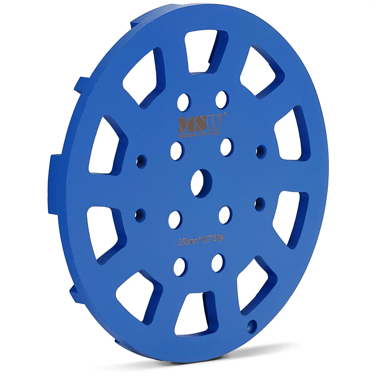 Disco de lijado - diámetro: 250 mm - para hormigón - grano 30 - 10 segmentos de lijado