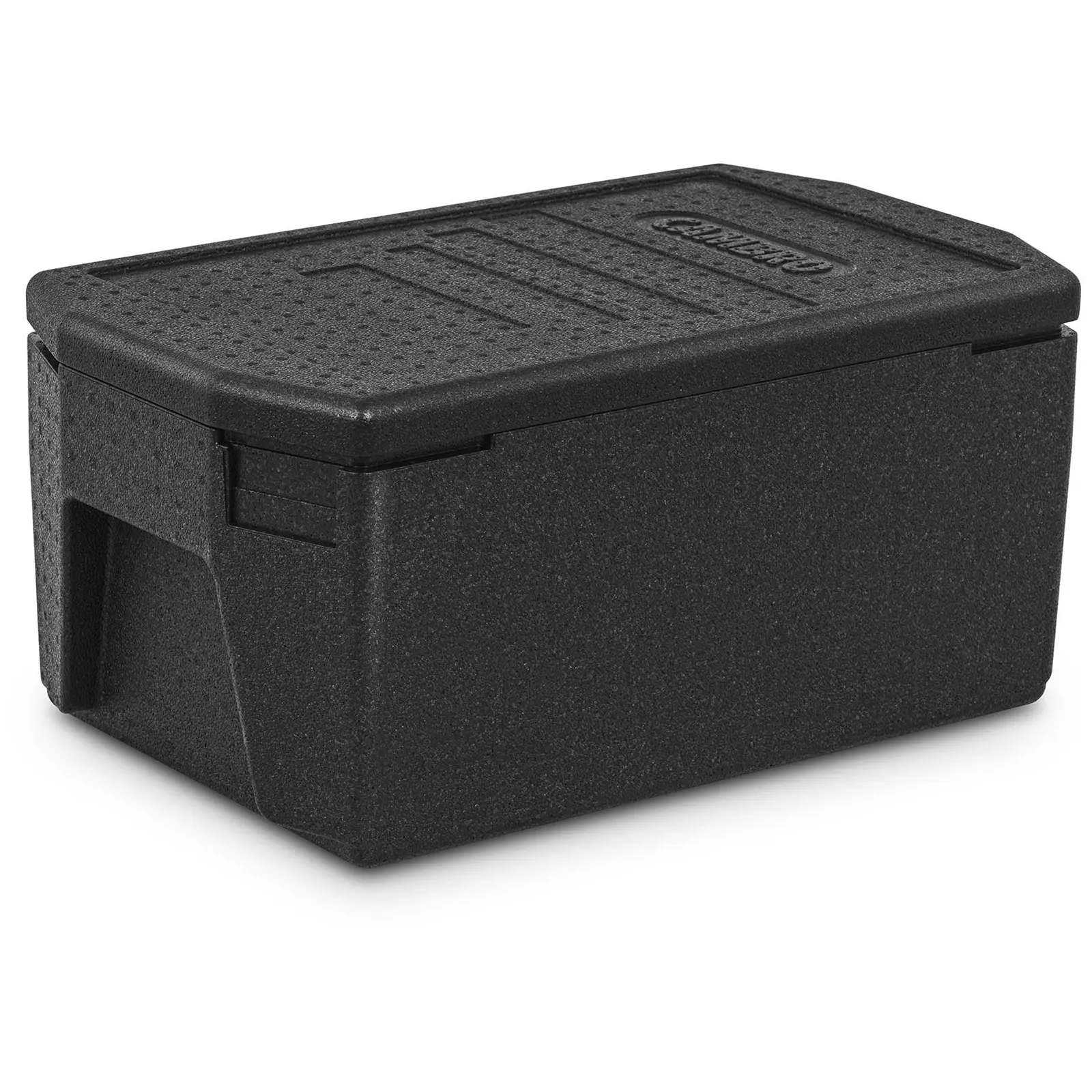 Caja térmica para alimentos - contenedor GN 1/1 (20 cm de profundidad) - asas XXL